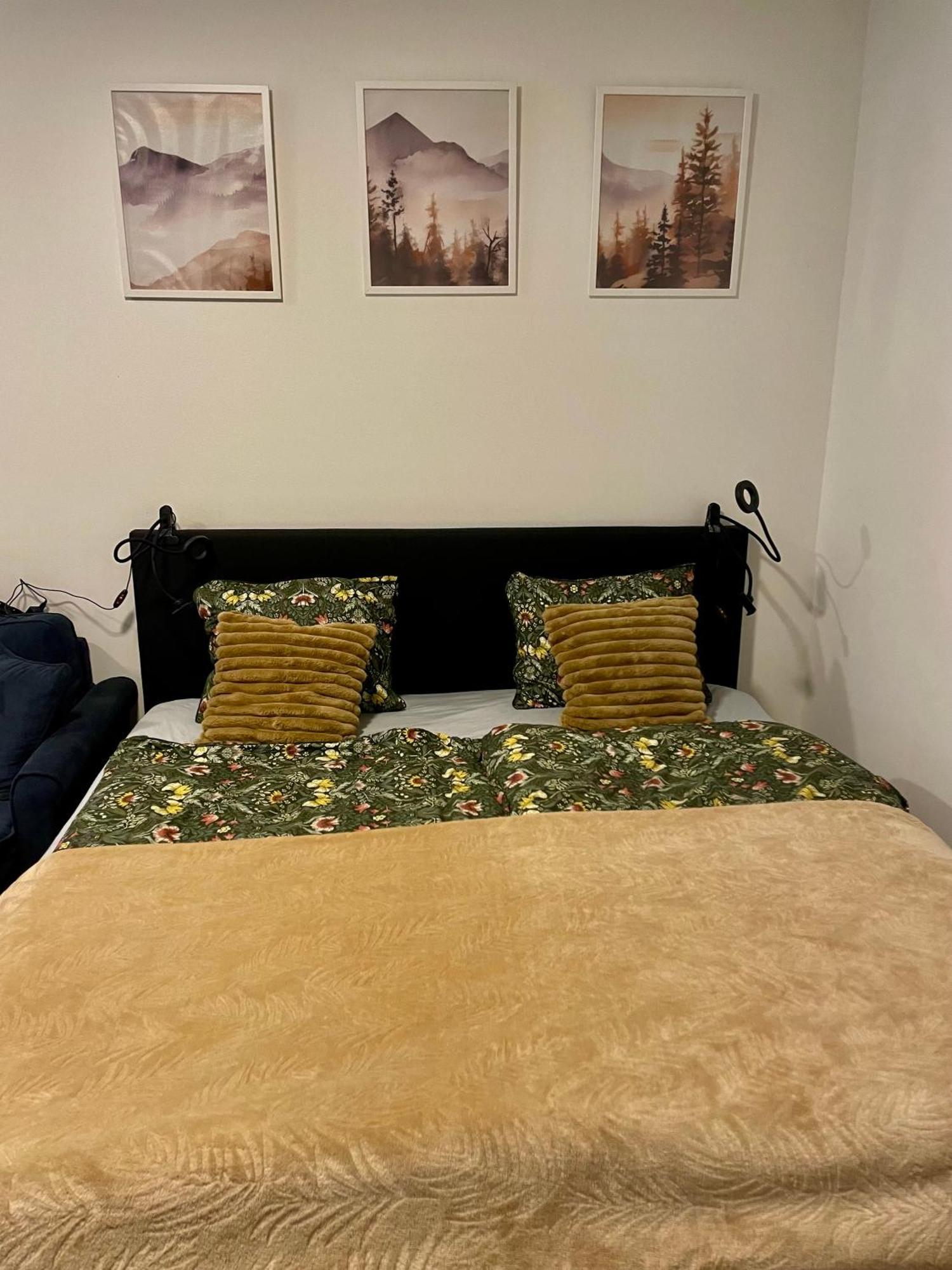 Apartment Navi- Modern Studio In Krkonose Foothills Stare Buky 외부 사진